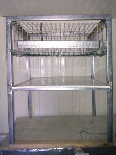 Recovered_JPEG Digital Camera_253; cusca25 pasari
