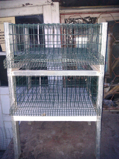 Recovered_JPEG Digital Camera_633