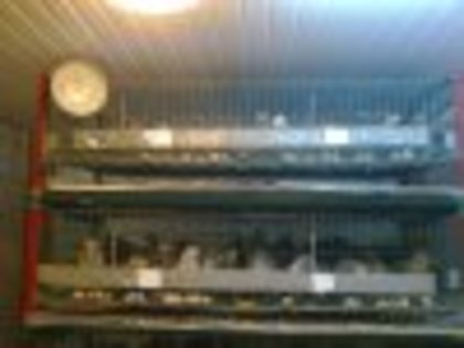 Recovered_JPEG_1781; rastel 100pas pe 2 nivele
