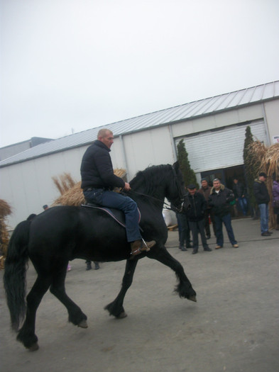 100_1882 - EXPO GALATI 2011