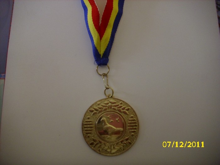 DSCI0173