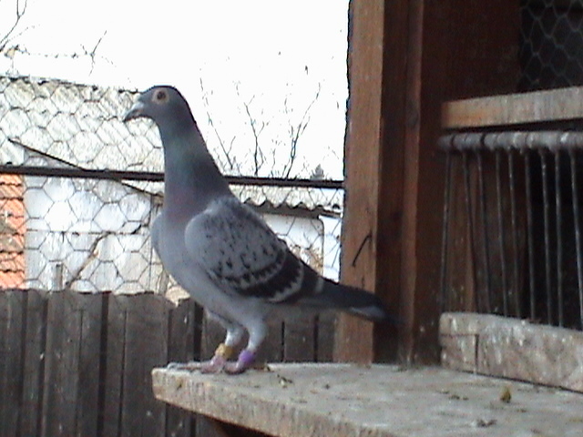 012231042-09 Dv.Jan Aarden; Jan Aarden
