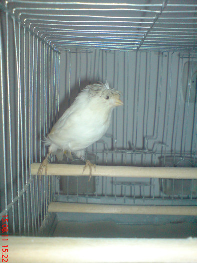 DSC00017