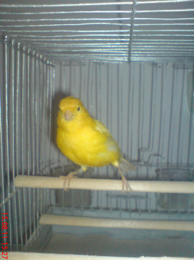 DSC00018