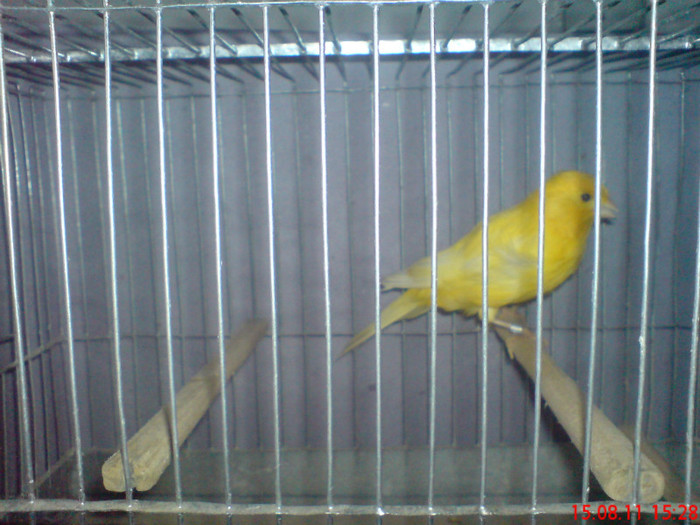 DSC00021