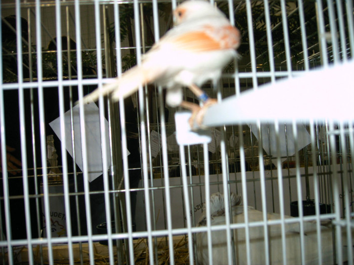 IMAG0169
