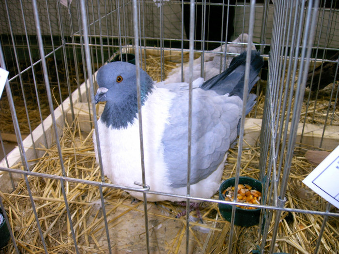 IMAG0191