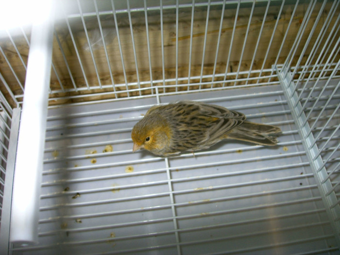 Copy of IMAG0166