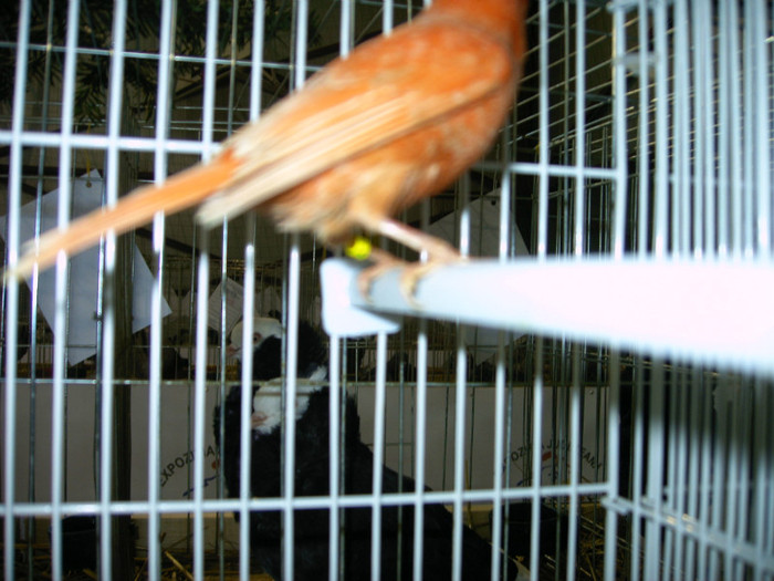 Copy (2) of IMAG0172