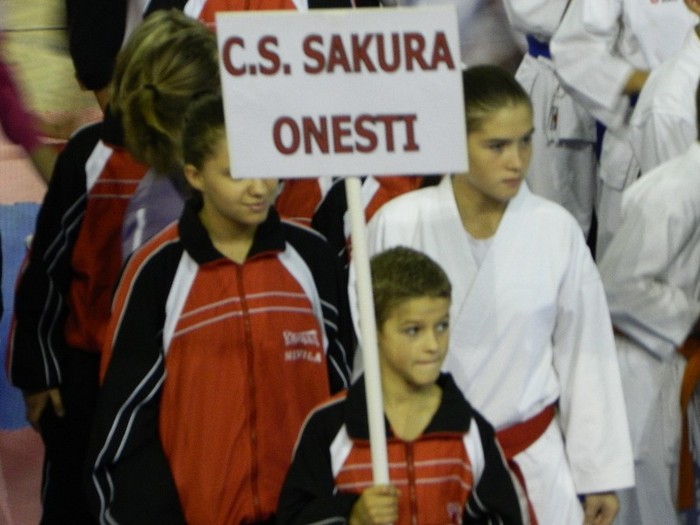 DSCN9602 - Matia la Cupa Campionilor Europeni - Cluj 2011 - Karate WKC