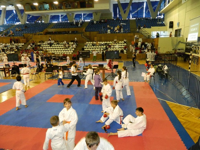 DSCN9611 - Matia la Cupa Campionilor Europeni - Cluj 2011 - Karate WKC