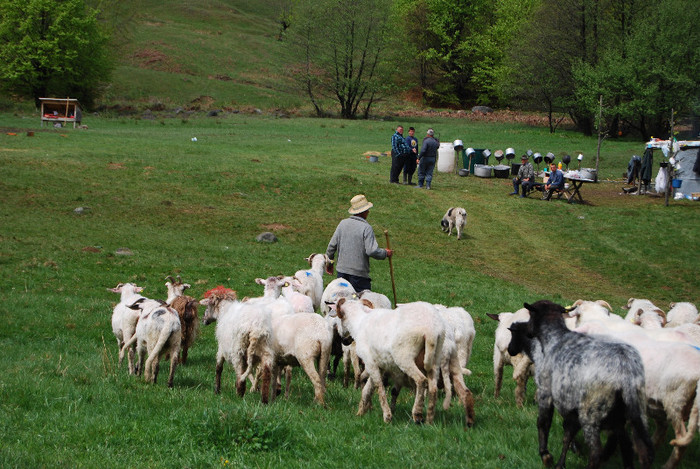 Concediu 2009 (1317)