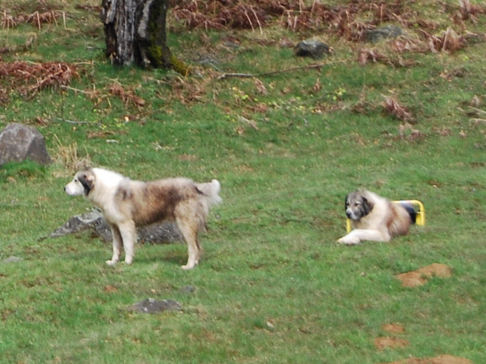 Concediu 2009 (1318)