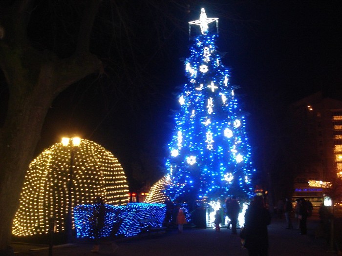  - Satu Mare