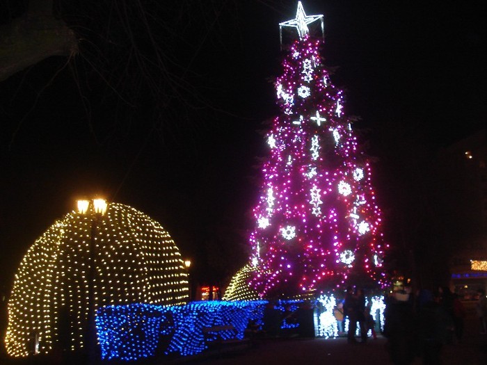  - Satu Mare
