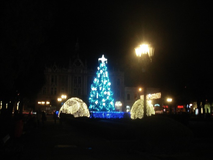  - Satu Mare