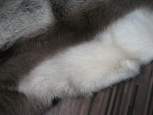 Blana de iarna pufoasa