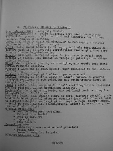 standarde-1974-013 - STANDARDE PORUMBEI ROMANESTI