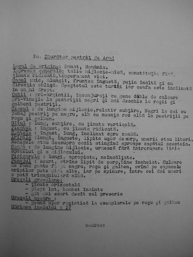 standarde-1974-026