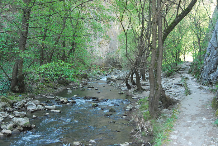 Cheile Turzii