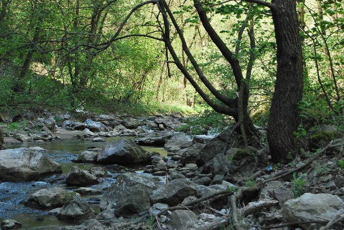 Cheile Turzii