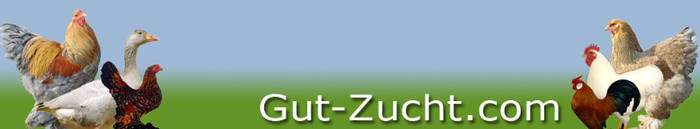 Header-gut-zucht - citeva poze