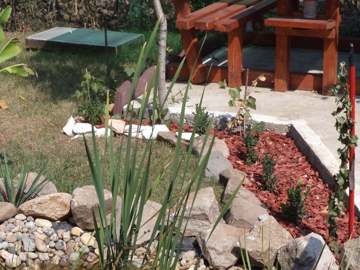 DSC00931 - IAZ deliu