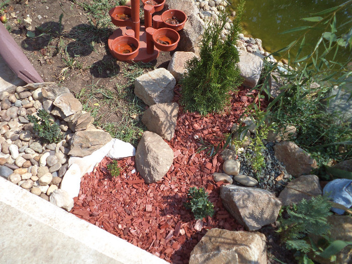 DSC00927 - IAZ deliu