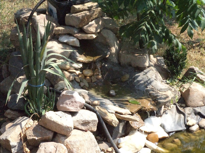 DSC00930 - IAZ deliu