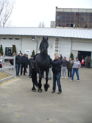 P1160009 - galati 2011