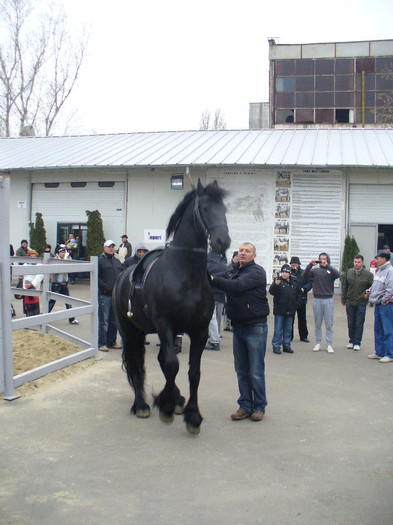 P1160010 - galati 2011