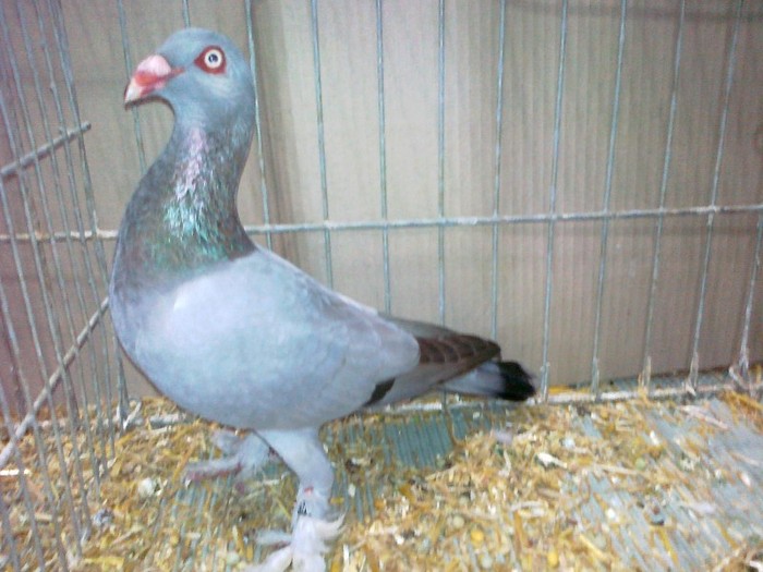 34778a j kassel