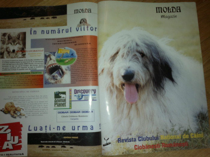molda p48 c3 - Molda Magazin nr 2
