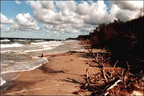 marea_baltica_coasta - POZE DESKTOP