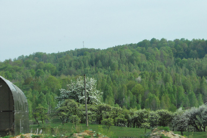 Valea Jiului