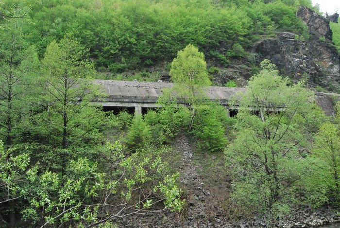 Valea Jiului