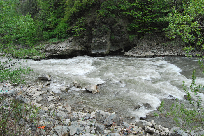 Valea Jiului