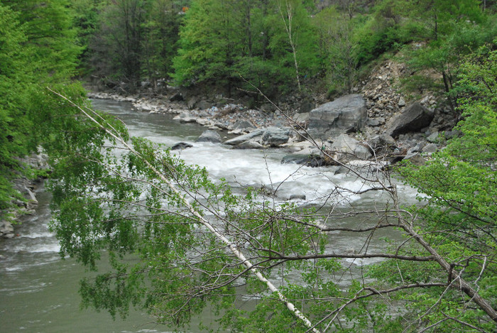 Valea Jiului