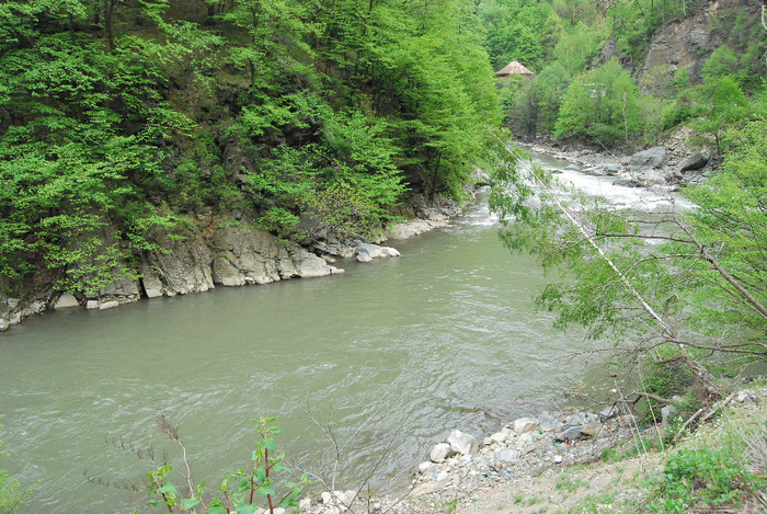 Valea Jiului