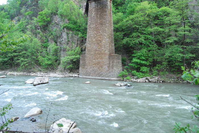 Valea Jiului - Valea Jiului