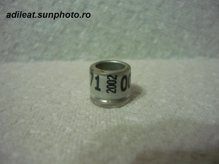 DAN-2002 - DANEMARCA-DAN-ring collection