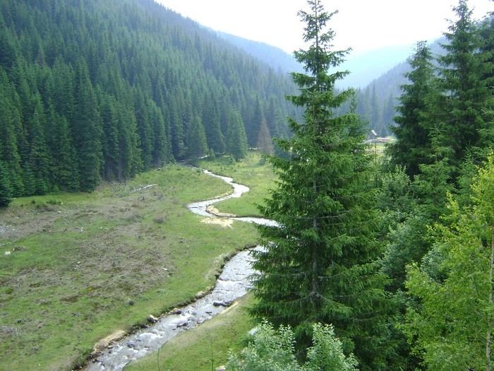 DSC09441 - Transalpina