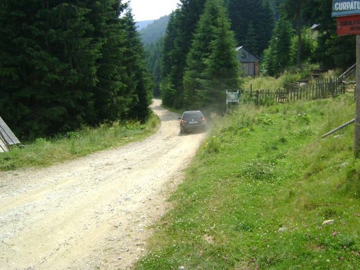 DSC09453 - Transalpina