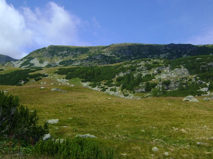 DSC09716 - Transalpina