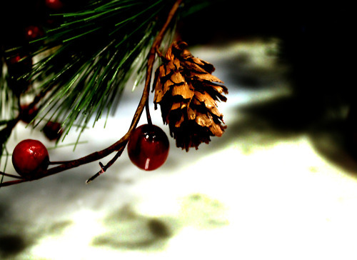 tumblr_lvy60fwOVl1qhyyixo1_500 - M-Merry Christmas-M