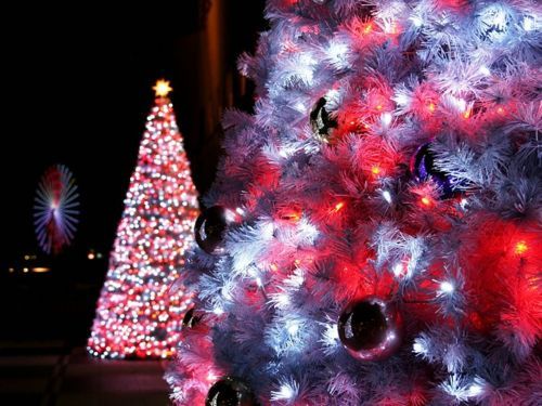 tumblr_lvy67qm4rR1r0pcxzo1_500 - M-Merry Christmas-M