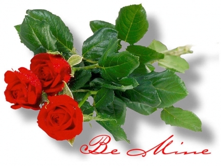 un-buchet-de-trandafiri_0111fc1ec1d9f7 (1) - poze flori
