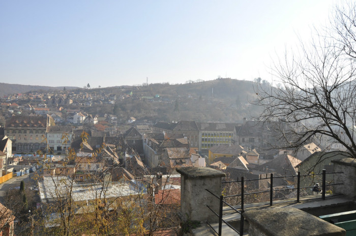 _DSC0554