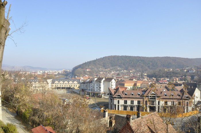 _DSC0560