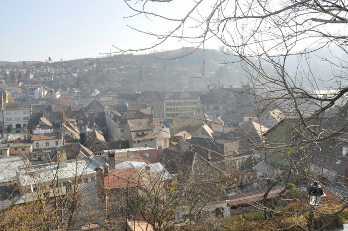 _DSC0564